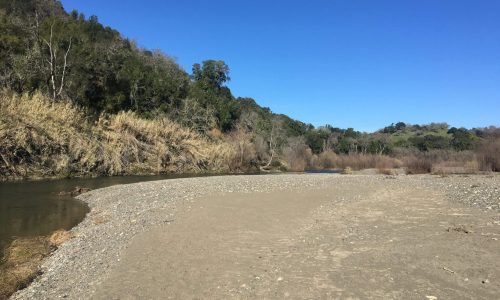 Russian River Beach