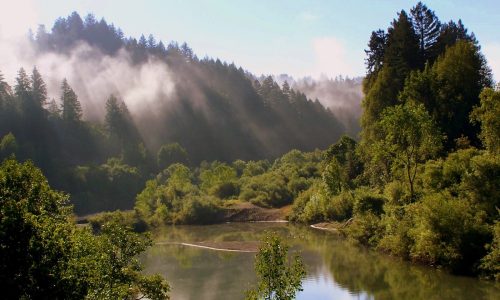 Russian River