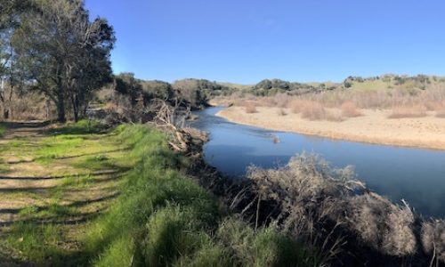 Russian River with Trail