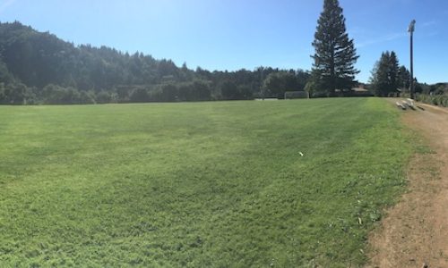 Baseball & Frisbee Field